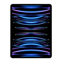 Apple iPad Pro 12.9-inch (2022, M2, 256GB) Wi-Fi - Silver - MNXT3LL/A
