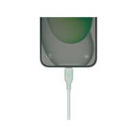 BAZIC GOCHARGE WEAVE C-C CABLE 480MBPS, 60W 1.5M - Green