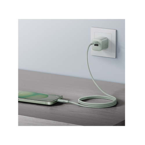 BAZIC GOCHARGE WEAVE C-C CABLE 480MBPS, 60W 1.5M - Green