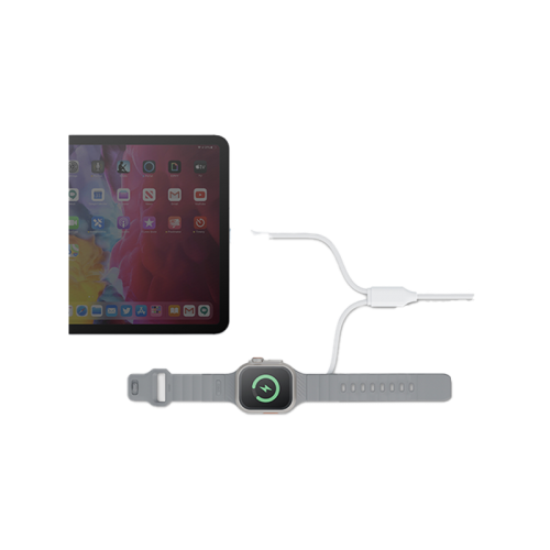 BAZIC GOCHARGE DEUCE CABLE, USB-C TO C WITH WATCH CHARGER 1.8M- WHITE EOL