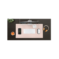 UNIQ HAGEN REVERSIBLE SMART ORGANIZATION DESK MAT EOL