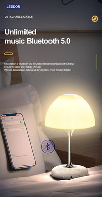 LEEDOR wireless FM remote control, Bluetooth sound system, music neutral desk lamp, Bluetooth speaker LD-JY-85