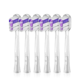 Laifan Transparent brush Head with Ultra Whitening support 30102-000061