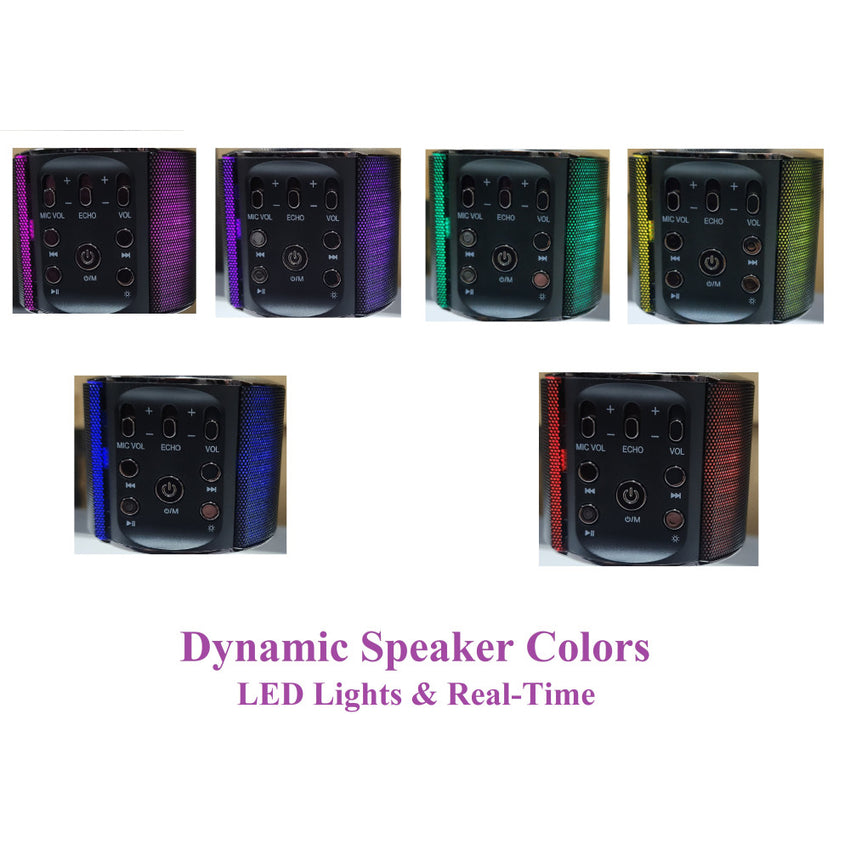 Noerden Smart Karaoke Microphone with Four Magic Voice Effects PNM-0101-IN